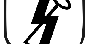 Hitlerjugend Division Insigne
