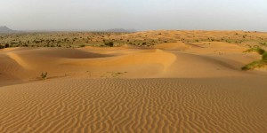 Sahara marocain