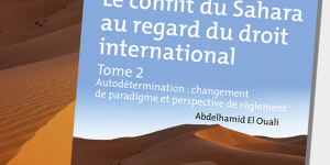 Conflit Sahara