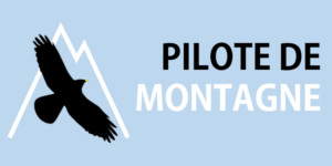 PDM 10