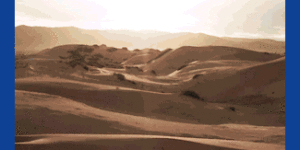 theatrum-belli_325x500_V1
