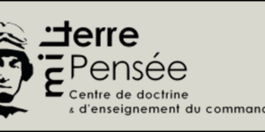 Pensée Mili Terre