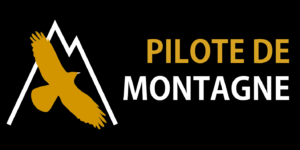 Logo PDM