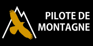 Logo PDM