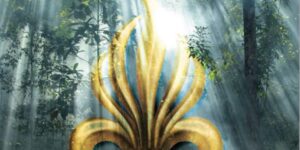 Selva livre